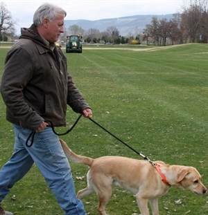 Mike Ritcey gets Juno ready to chase off the geese at McArthur Park while city crews work at cleaning up the excrement left behind by the thousands of geese that called the park home earlier this spring.