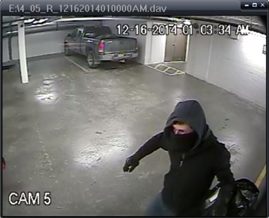 One of the three suspects sought in relation to thefts from storage lockers at Talasa apartments.