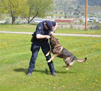 Const. Mark Jones says the canine unit is hard work, but he'd never go back. 