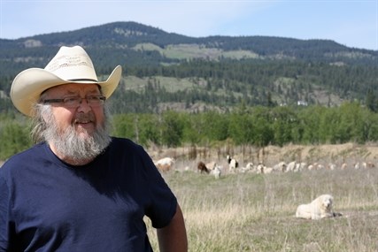 Conrad Lindblom of Rocky Ridge Vegetation Control hopes to make the Tournament Capital Ranch north of Kamloops a permanent home for his goats.
