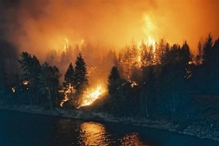 The McLure forest fire forced 3,800 people out their homes and destroyed 75 homes and 9 business in July of 2003.
