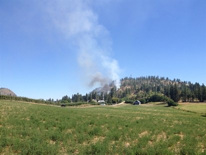 The fire is burning on a hill on Scenic Road between Glenmore and Brenda Roads.