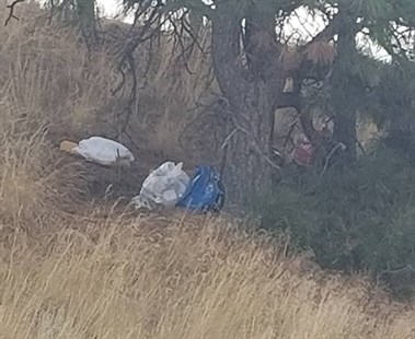 Plastic bags sit on a slope of Munson Mountain.