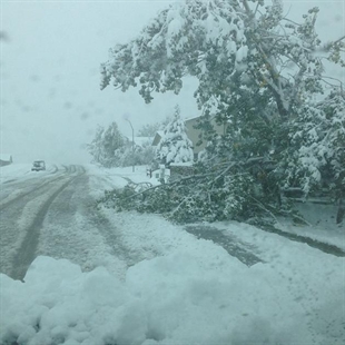 Double trouble in Great Plains: 3.5 feet of snow in SD Black Hills; 15 ...