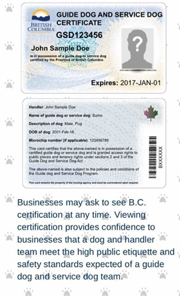 Canadian Guide Dog Service Dog Guide Dog Id Card Service Dog ID Tag