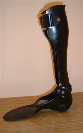The orthotic looks like this, except white. 