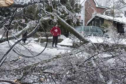 A resident surveys the damage after power lines came down across the street in Toronto's east end on Sunday, December 22, 2013.
