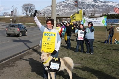 Local 305 shop steward Laurel Scott and her dog Mojo lead the group of striking family services workers in Kamloops during the noon hour Thursday.
