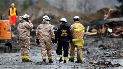 Rescue workers and work crews toil at the western edge of the mudslide where it covers Highway 530 east of Oso, Wash. Wednesday, March 26, 2013.