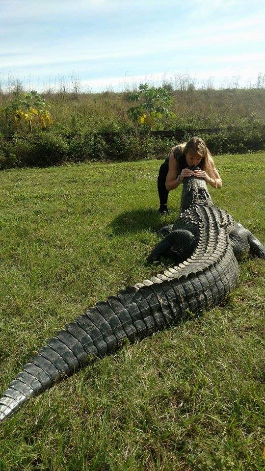 Wrestling And Rescuing Alligators Just One More Challenge