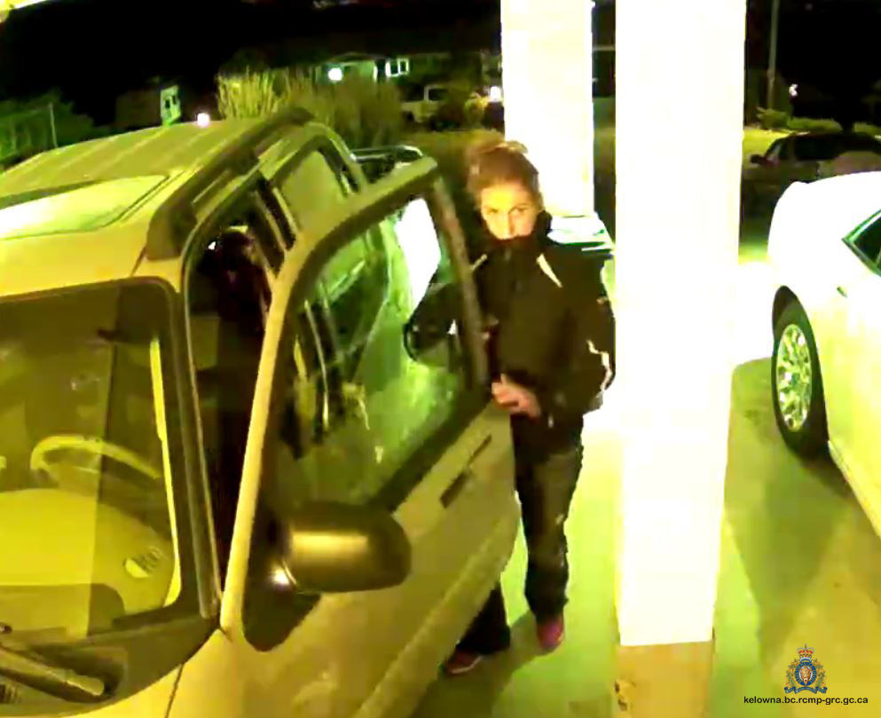 Police Ask For Publics Help In Identifying Theft From Vehicle Suspect