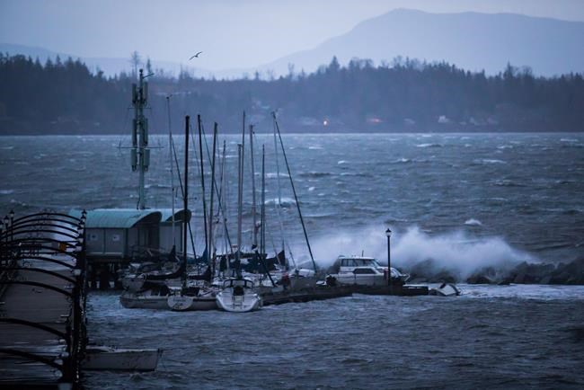 UPDATE: Windstorm That Swept B.C. South Coast Among 'most Severe' In ...