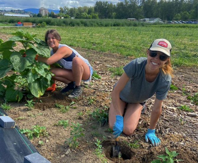 Kelowna Jaycees Farm Project Grows Produce For Charity And Passion For