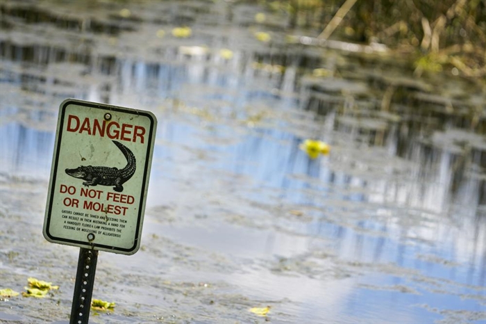 An alligator warning sign is posted in waters near the scene where a man was found dead after going into the lake to retrieve lost disc golf discs at John S. Taylor Park, Tuesday, May 31, 2022 in Largo, Fla.